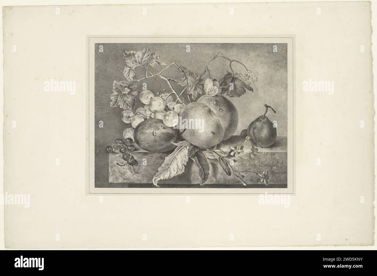 Fruitstill Leben auf einem Marmorblatt, Petronella van Woensel, nach Jan van Huysum, 1809–1839 Druck es gibt einen Schmetterling auf dem Pfirsich. Papier. Stillleben von Pflanzen, Blumen und Früchten. Insekten: Schmetterling Stockfoto