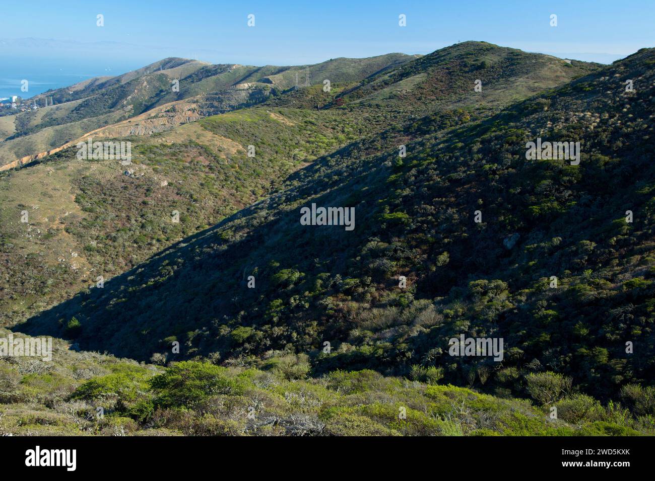 Blick auf den Gipfel, San Bruno Mountain State Park, Kalifornien Stockfoto