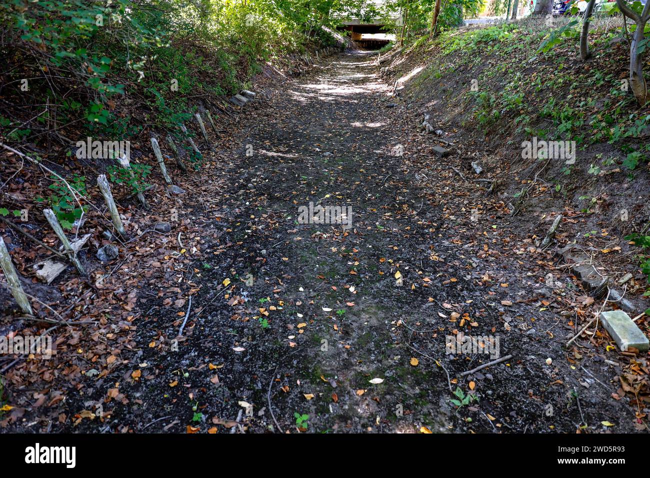 Die Panke ist trocken und trägt kein Wasser mehr, das ausgetrocknete Bett der Panke ist sichtbar, Panketal, 10/08/2022 Stockfoto