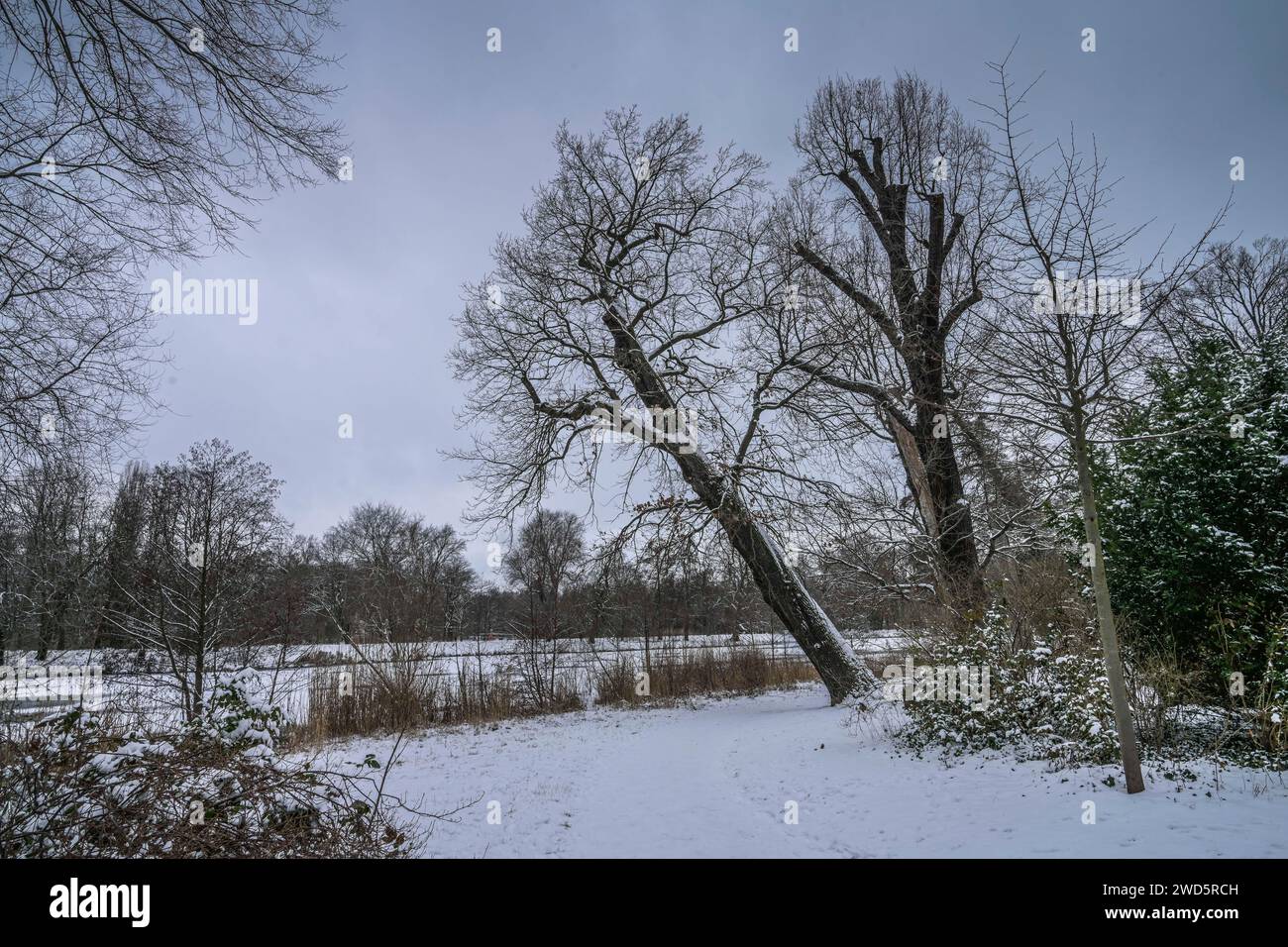 Wetter-Feature, Winter in den Schlosspark Charlottenburg, Berlin, Deutschland Stockfoto
