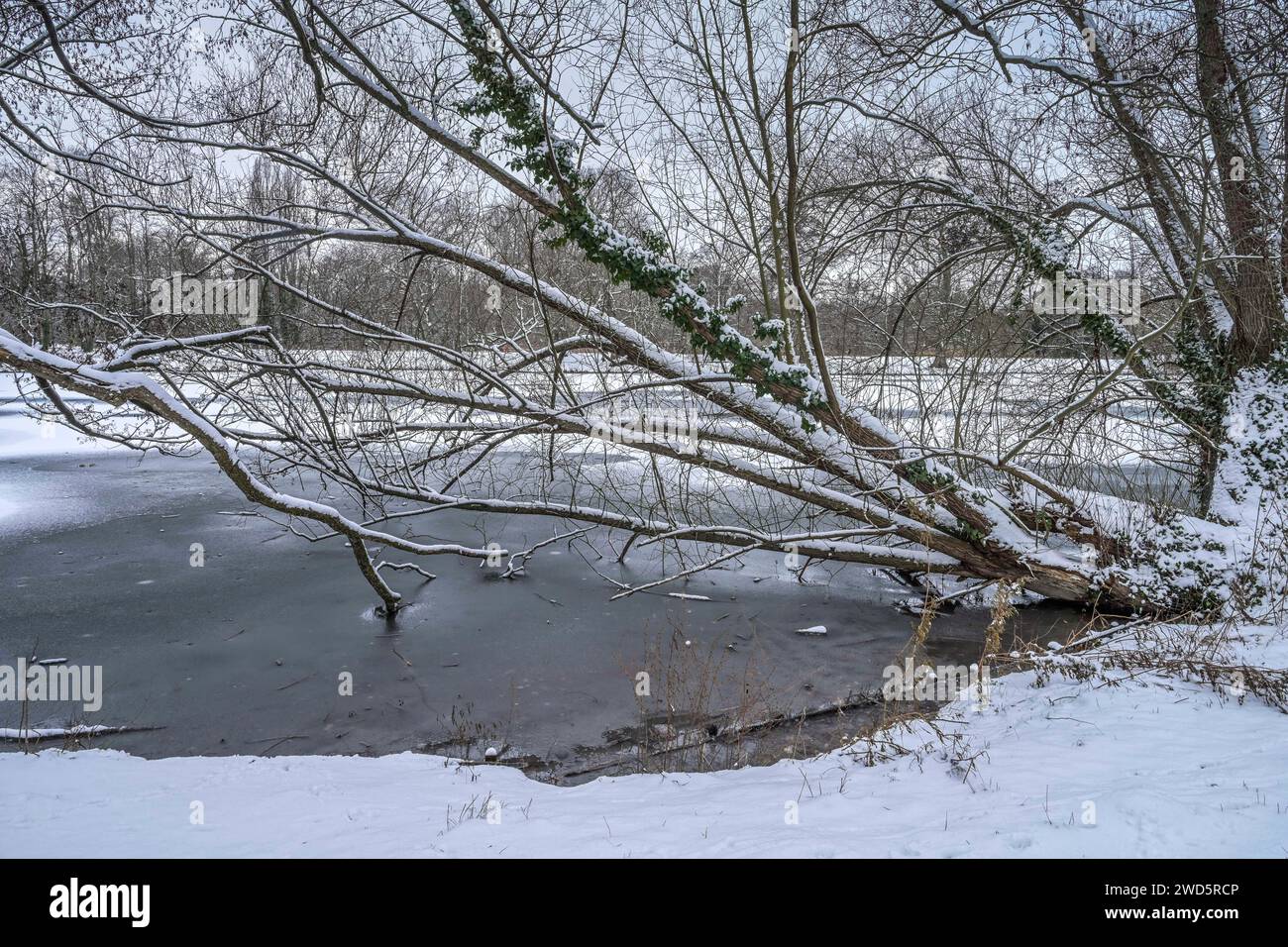 Wetter-Feature, Winter, Kanal in den Schlosspark Charlottenburg, Berlin, Deutschland Stockfoto