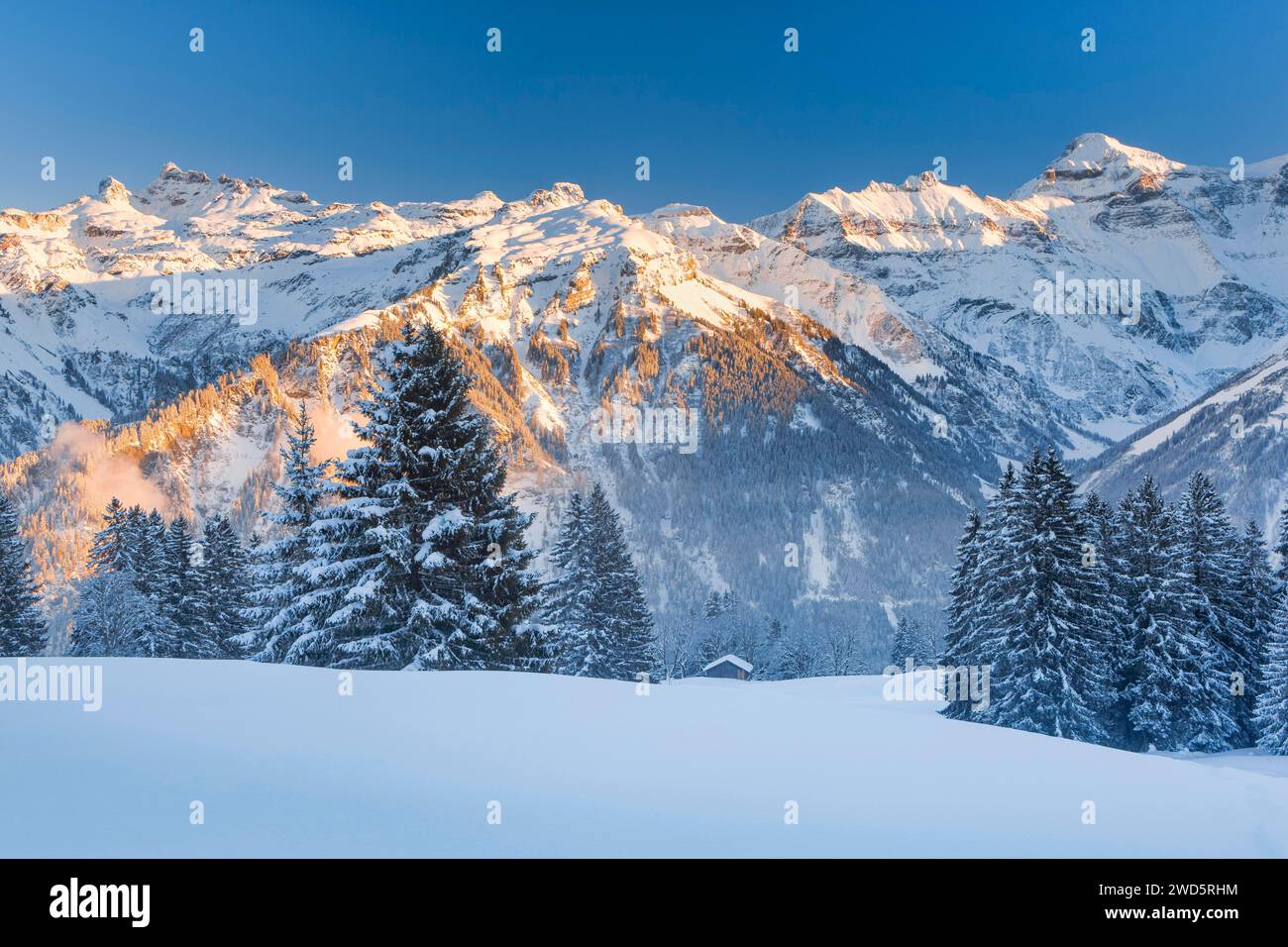 Blick von Braunwald auf die Freiberge Kaerpf, Hanenstock und Hausstock in den Glarner Alpen, Schweiz Stockfoto