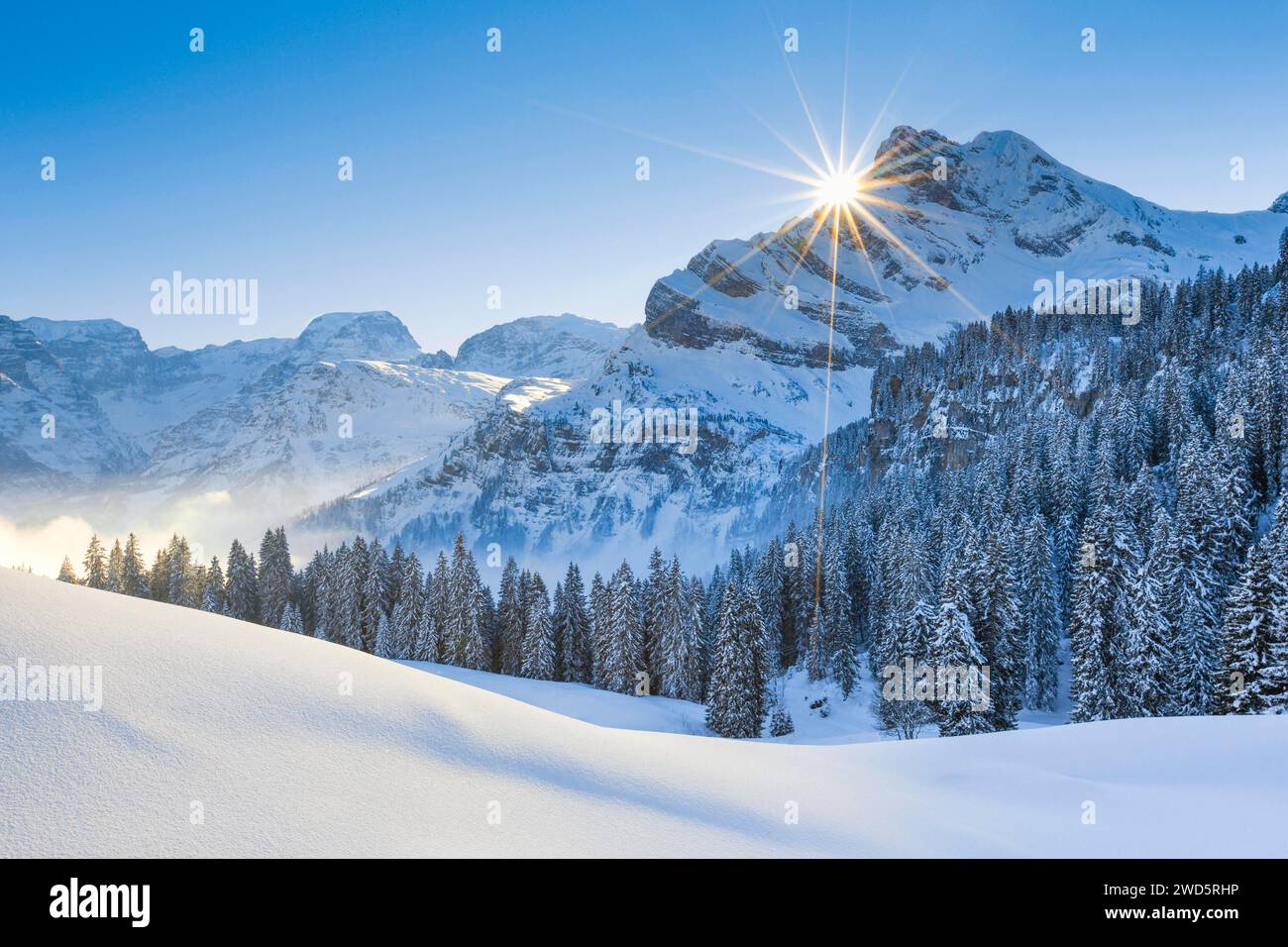 Ortstock und Toedi, Glarner Alpen, Schweiz Stockfoto