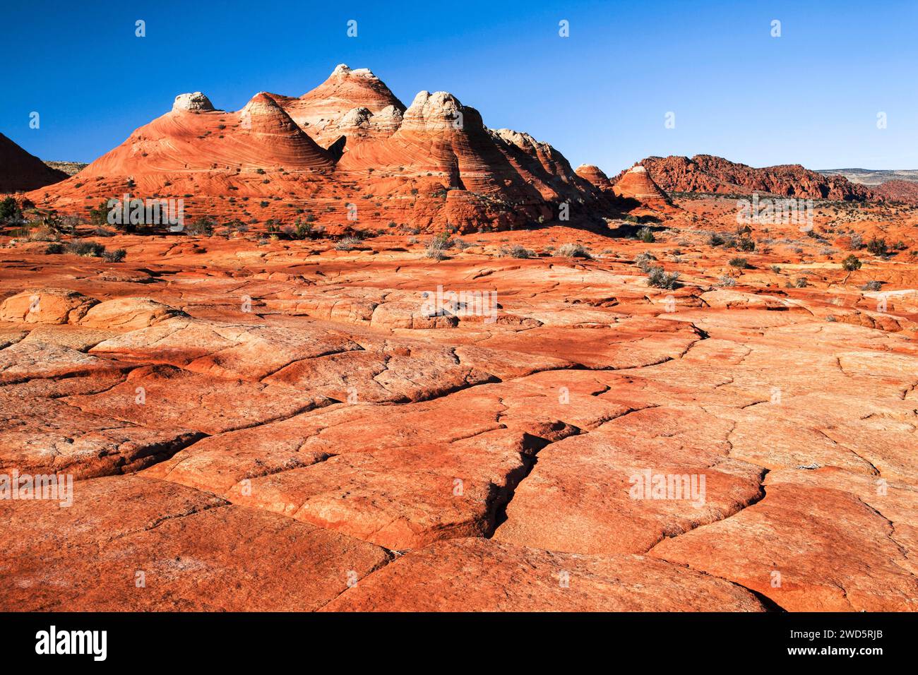 Coyote Buttes North, Sandstone Area, Arizona, USA, Nordamerika Stockfoto