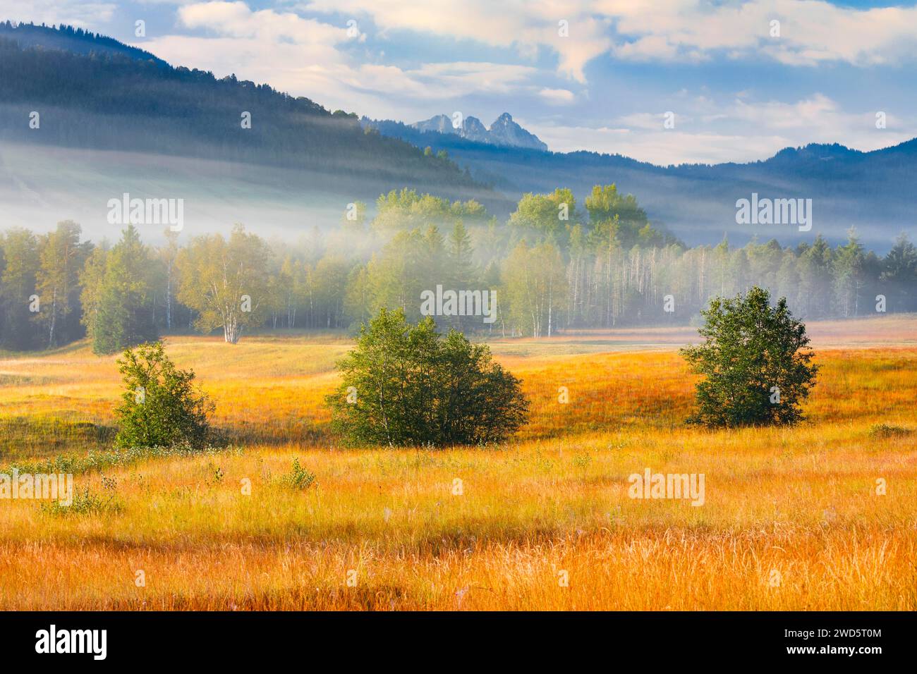 Blick über das Hochmoor Rothenthurm im Herbst mit den Mythen Berggipfeln im Hintergrund, Kanton Schyz, Schweiz Stockfoto