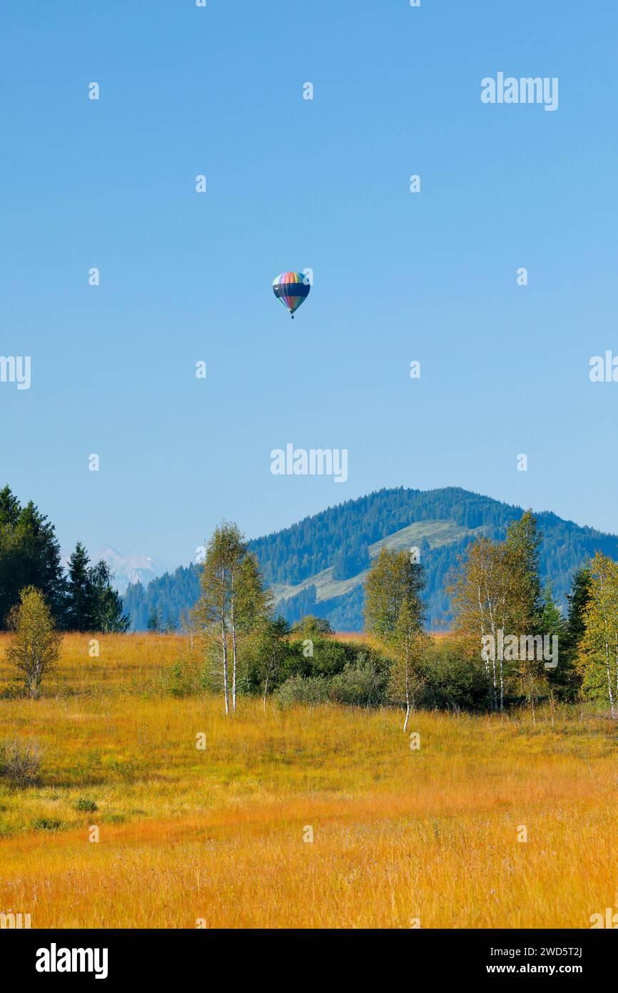 Heißluftballon über dem Rothenthurmer Hochmoor im Kanton Schyz, Schweiz Stockfoto