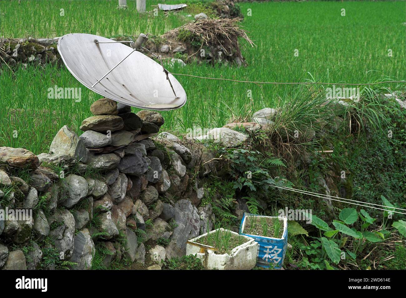 龙胜镇 (龙胜县) 中國 Longsheng, Dazhai Longji Ping'an Zhuang, China; Eine vorübergehend installierte Satellitenschüssel; Parabolantenne vorübergehend installiert Stockfoto