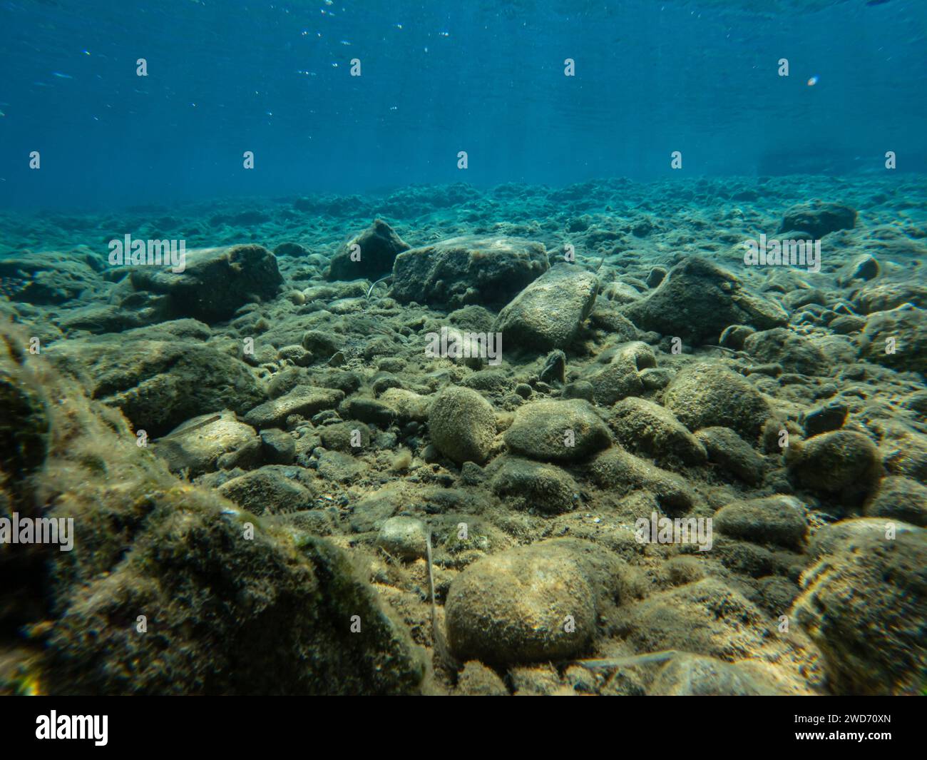 Unterwasserblick im Mittelmeer. Steiniger Bereich im Meer Stockfoto