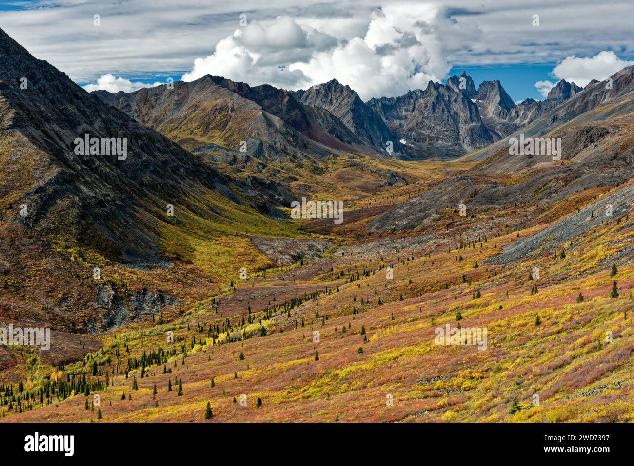 Die Tombstone Mountain Range im Yukon Territory, Kanada, bietet farbenfrohe Herbstfarben Stockfoto