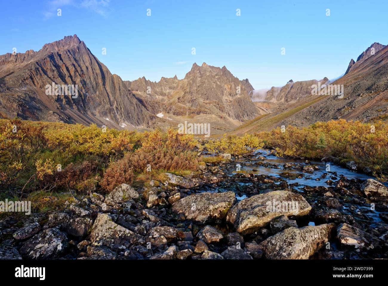 Die Tombstone Mountain Range im Yukon Territory, Kanada, bietet farbenfrohe Herbstfarben Stockfoto