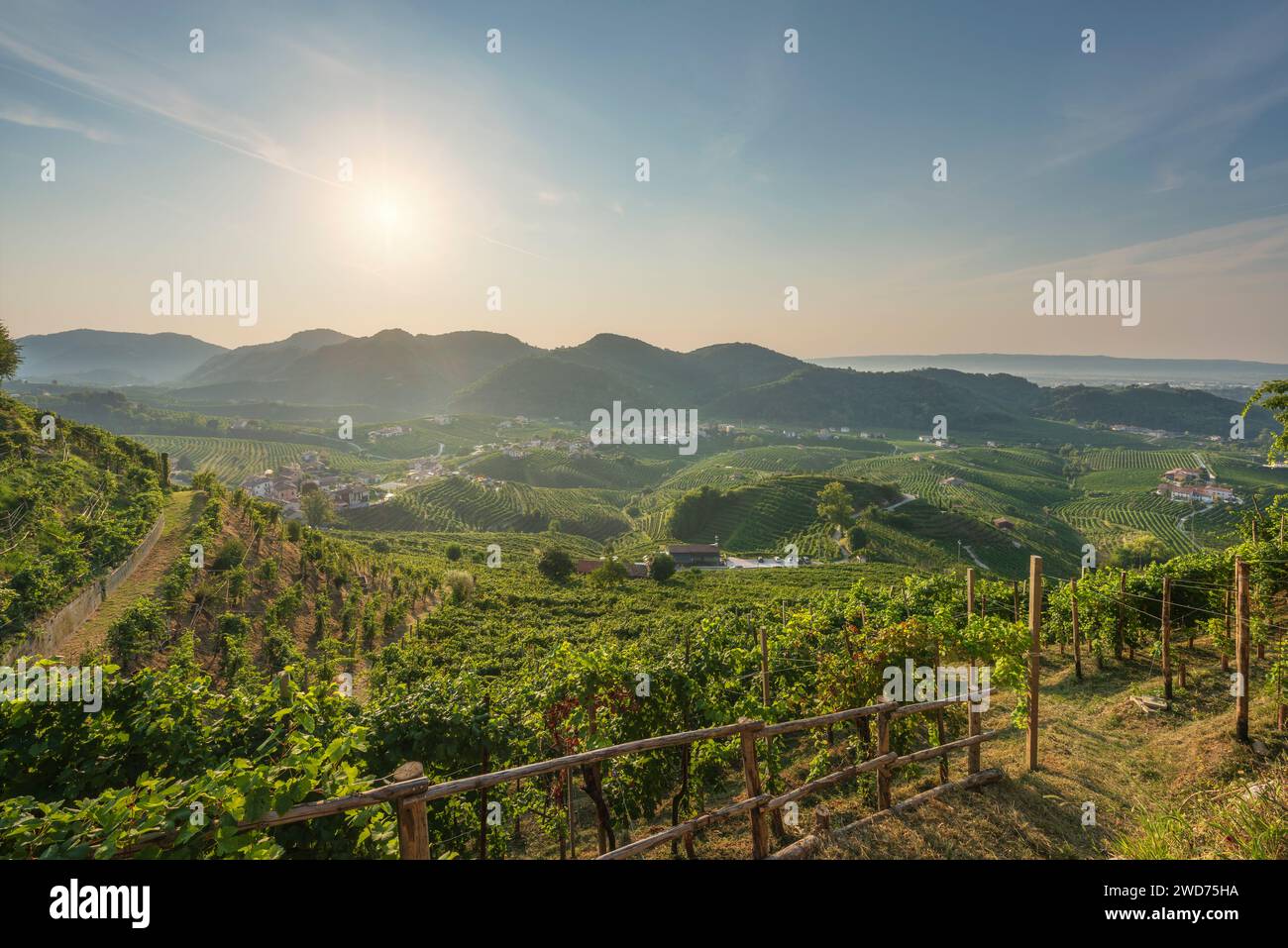 Prosecco Hills, Weinberge Panoramablick am Morgen. Unesco-Weltkulturerbe. Valdobbiadene, Provinz Treviso, Region Venetien, Italien, Europa Stockfoto