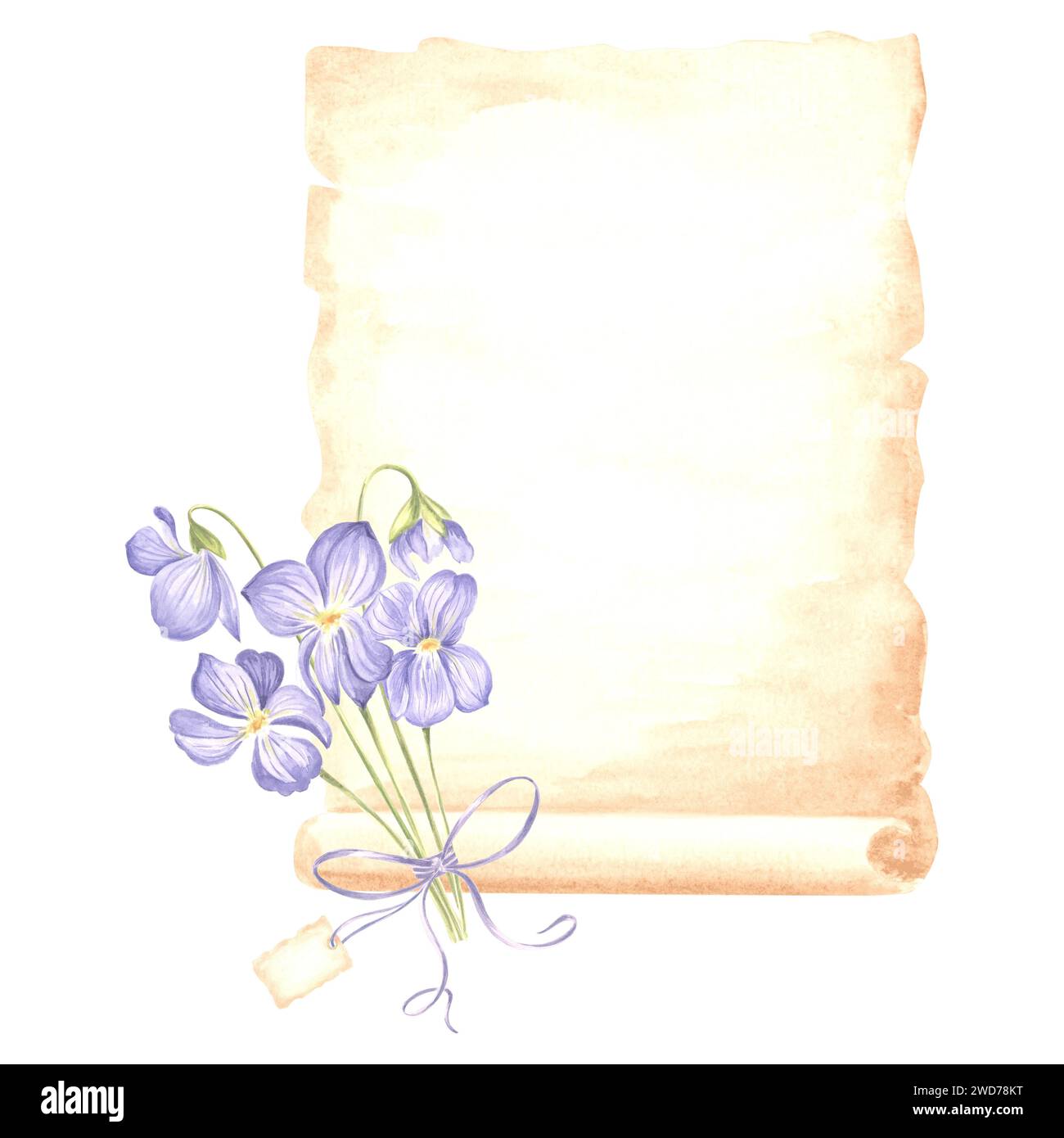 Aquarellkomposition Papyrus, gereifte Blätter Papier mit Strauß der wilden violetten Blume mit Bogen und Tag isolierte handgezeichnete Illustration der Feldpfanne Stockfoto