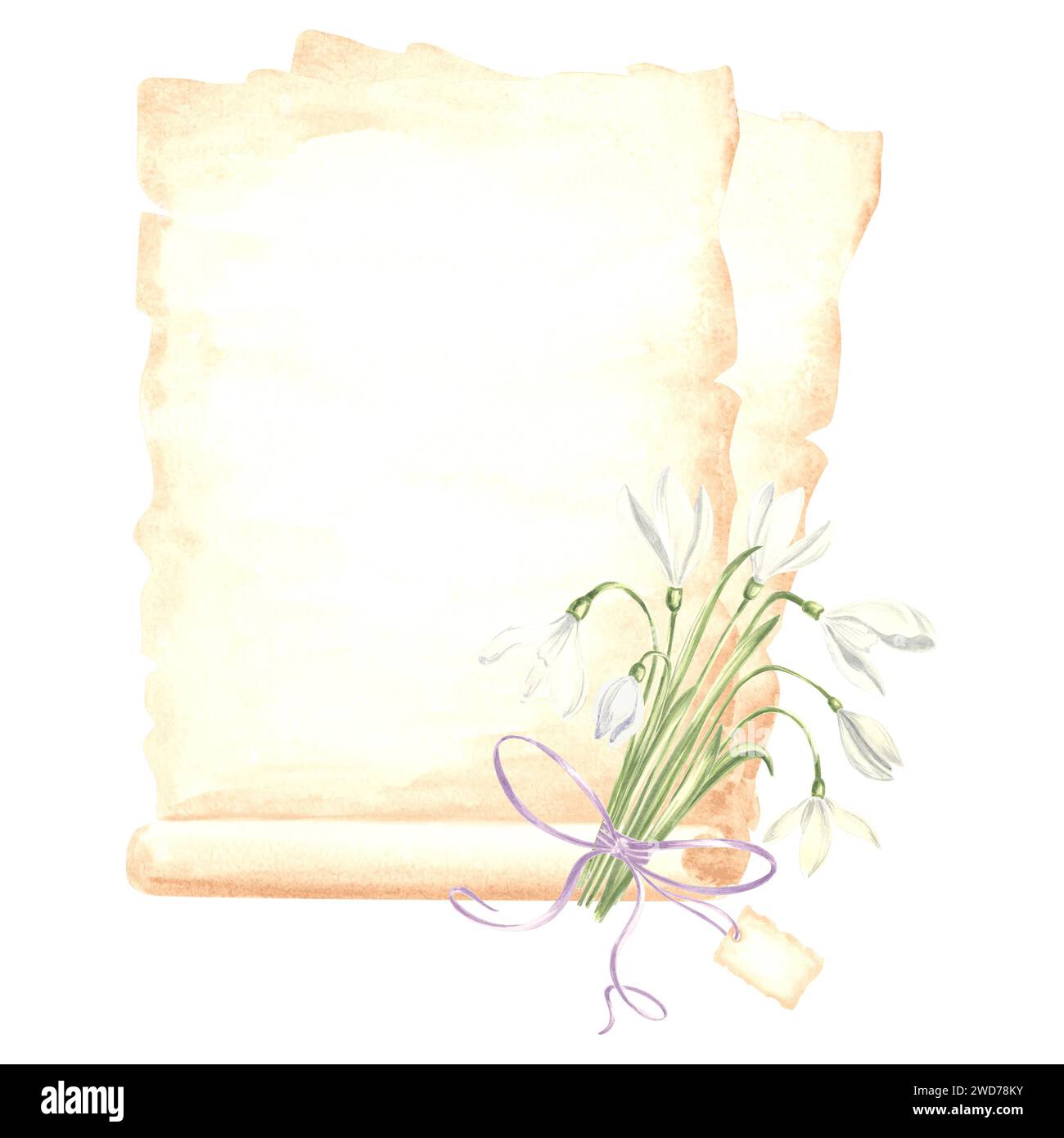 Aquarellkomposition Papyrus, gereifte Blätter Papier mit Strauß von weißen Schneetropfen Blume mit Schleife und Tag. Isolierte handgezeichnete Illustrationsvorlage f Stockfoto