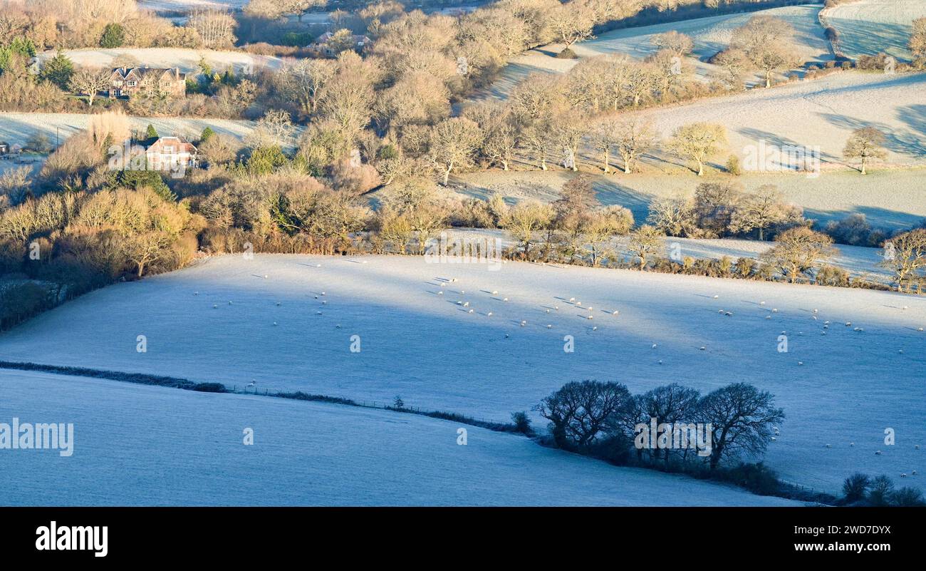 Brighton UK 19. Januar 2024 - Ein frostiger Morgen über dem Weald unterhalb des Devils Dyke entlang des South Downs Way nördlich von Brighton, aber mildes Wetter wird für die nächsten Tage in Großbritannien prognostiziert: Credit Simon Dack / Alamy Live News Stockfoto