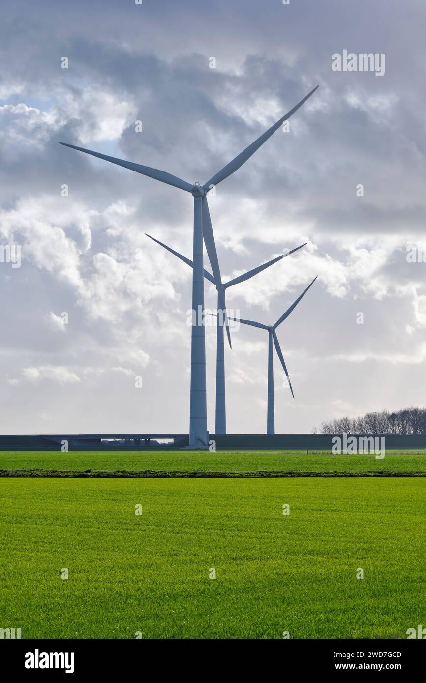 Windturbinen im Gegenlicht auf einem grünen Ackerfeld vor einem dramatisch bewölkten Himmel im Herbst. Konzept der sauberen Energie. Bild mit Kopierraum Stockfoto