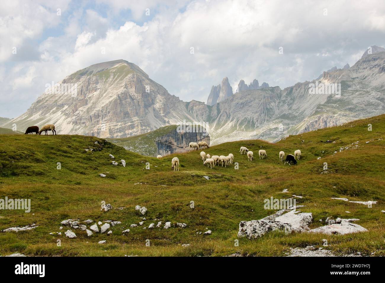 Dolomitenlandschaft - Puez Odle Naturpark Stockfoto