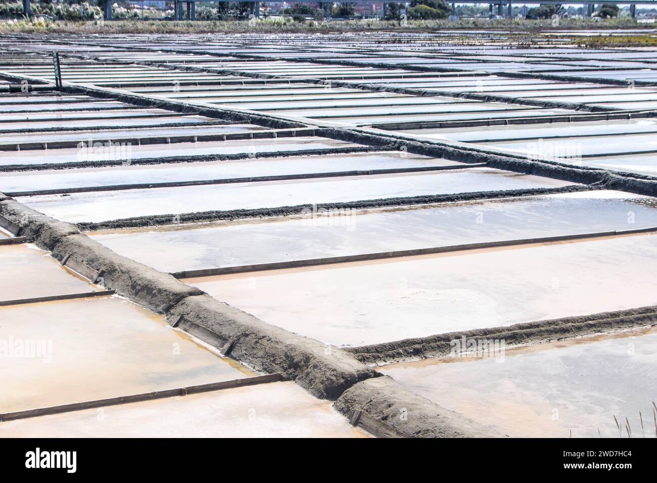 Salinas de Aveiro, Salinen von Aveiro Stockfoto