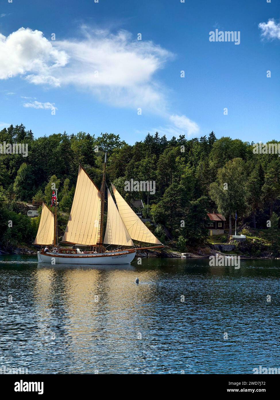 Segelboot segelt mit Bäumen im Hintergrund Stockfoto