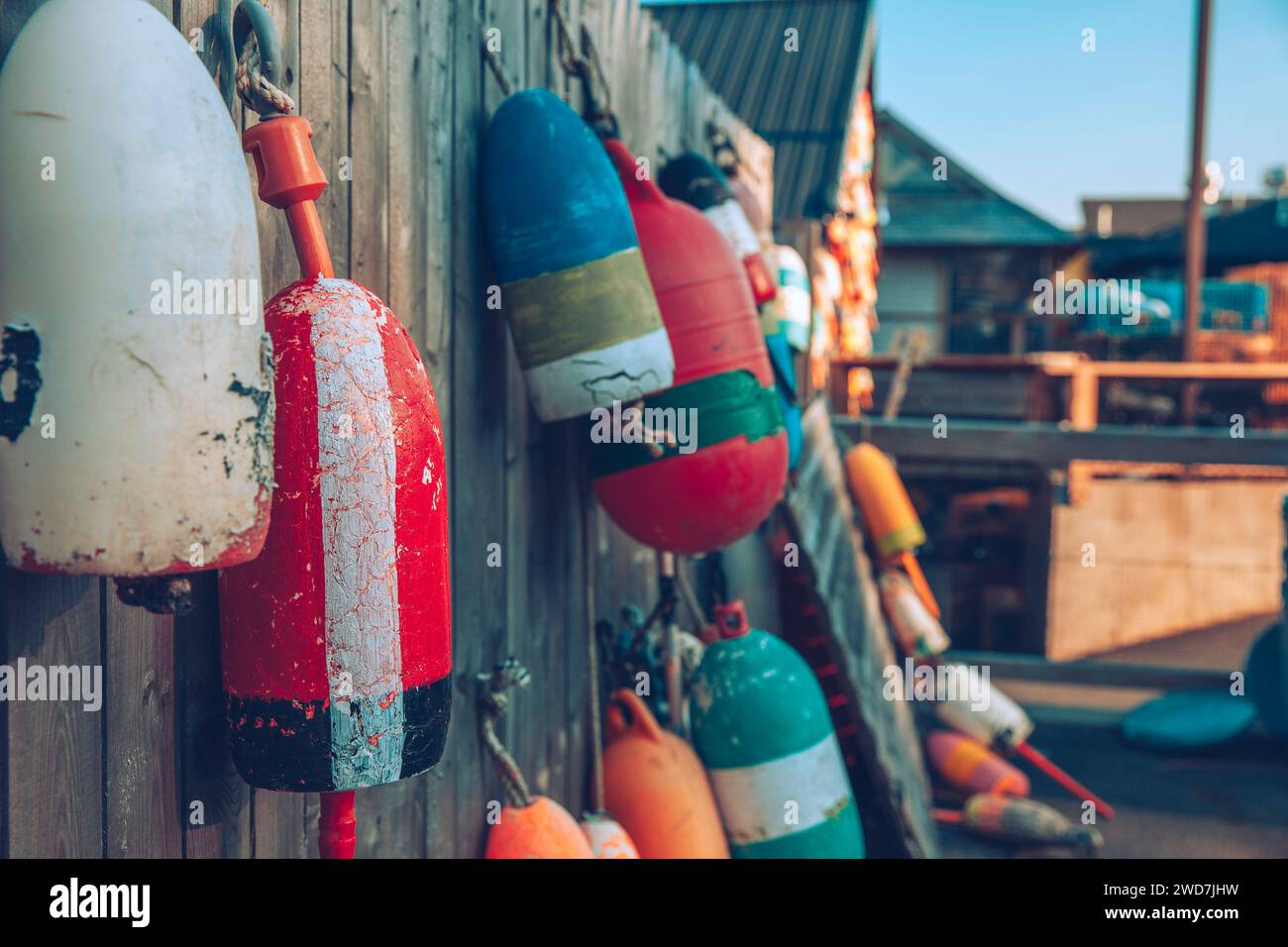 An einem späten Nachmittag hängen bunte Bojen an einem Holzzaun. Stockfoto