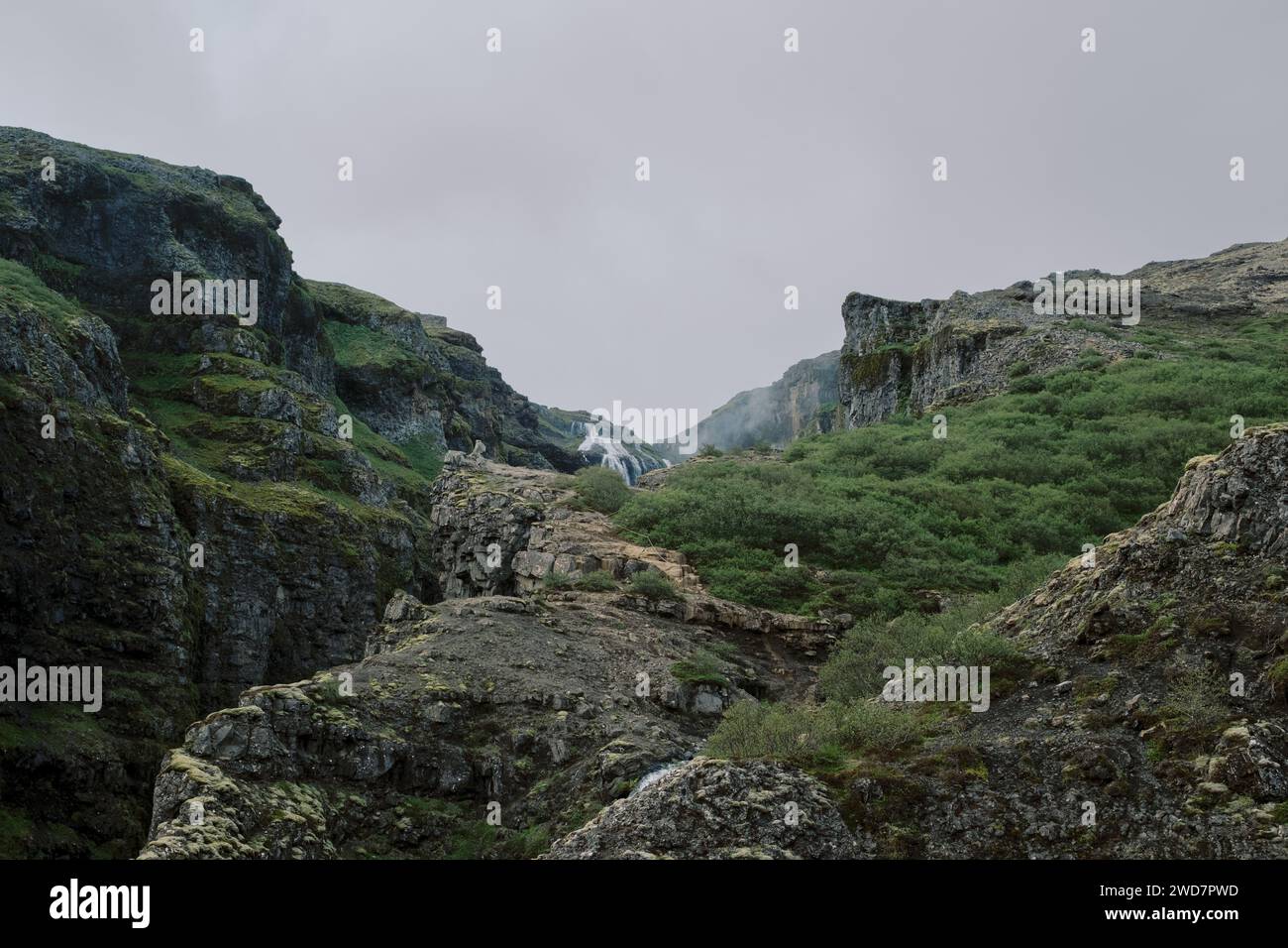 Moody Green und felsiger Wanderweg zum Glymur Wasserfall Stockfoto