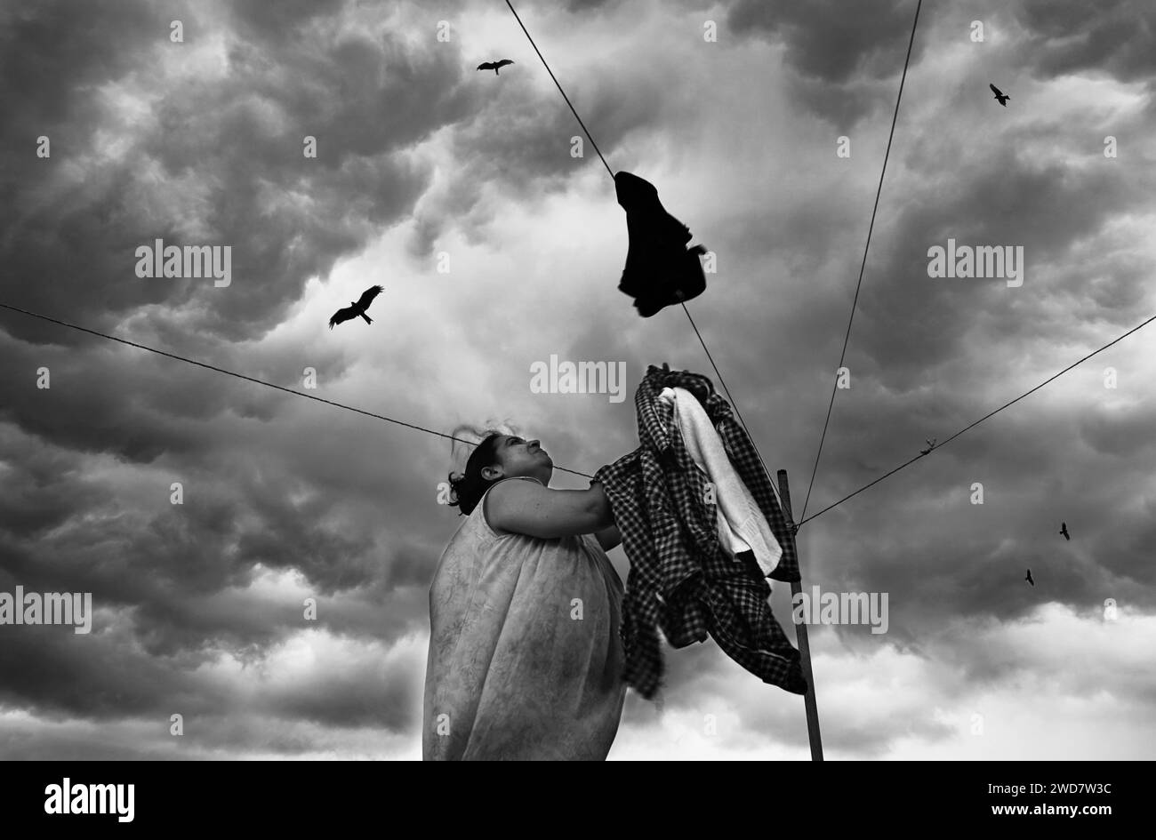 Monochrom Stockfoto