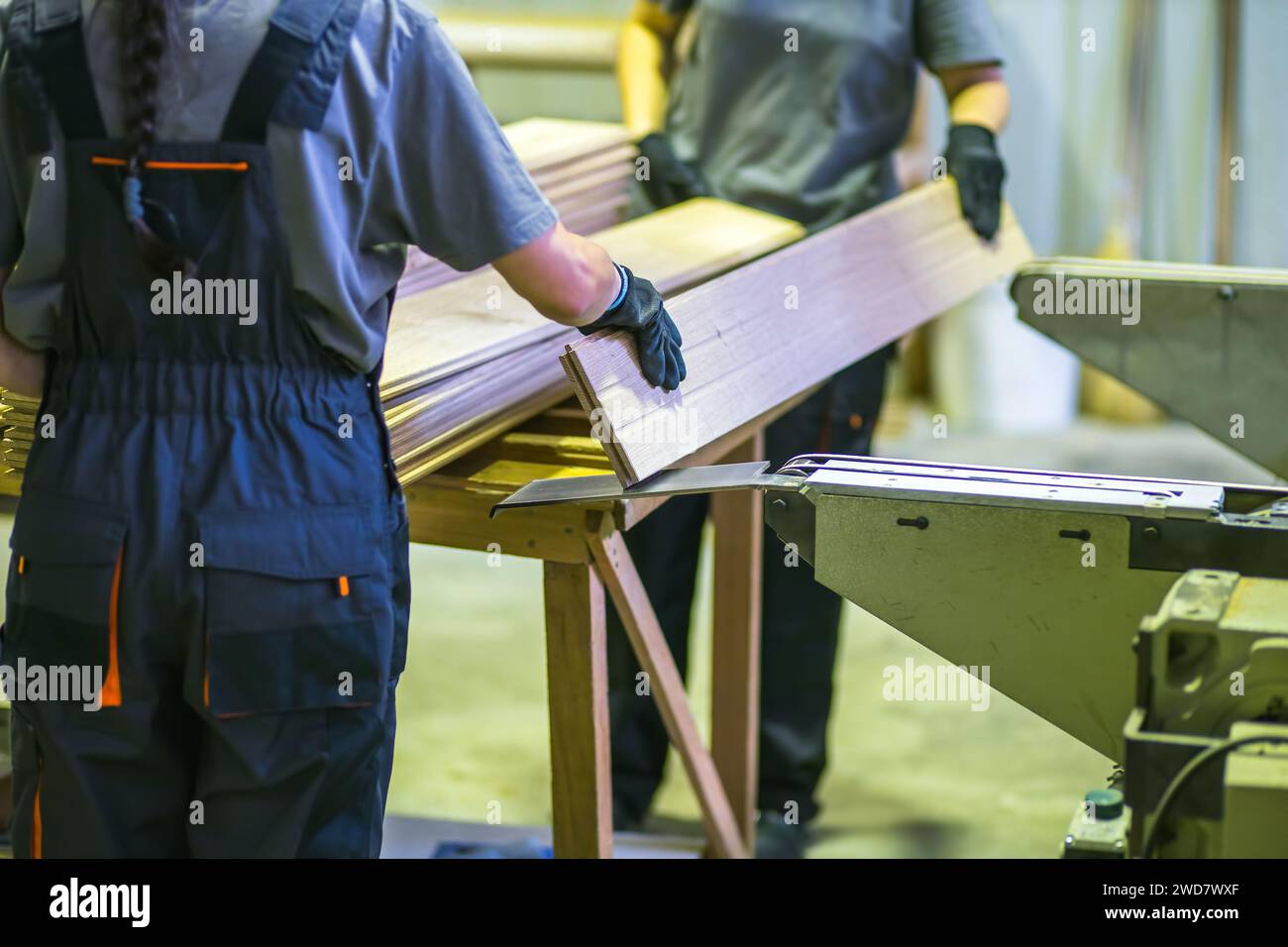 Arbeitnehmerinnen, die mit Dielen in Holzverarbeitungsfabriken arbeiten Stockfoto