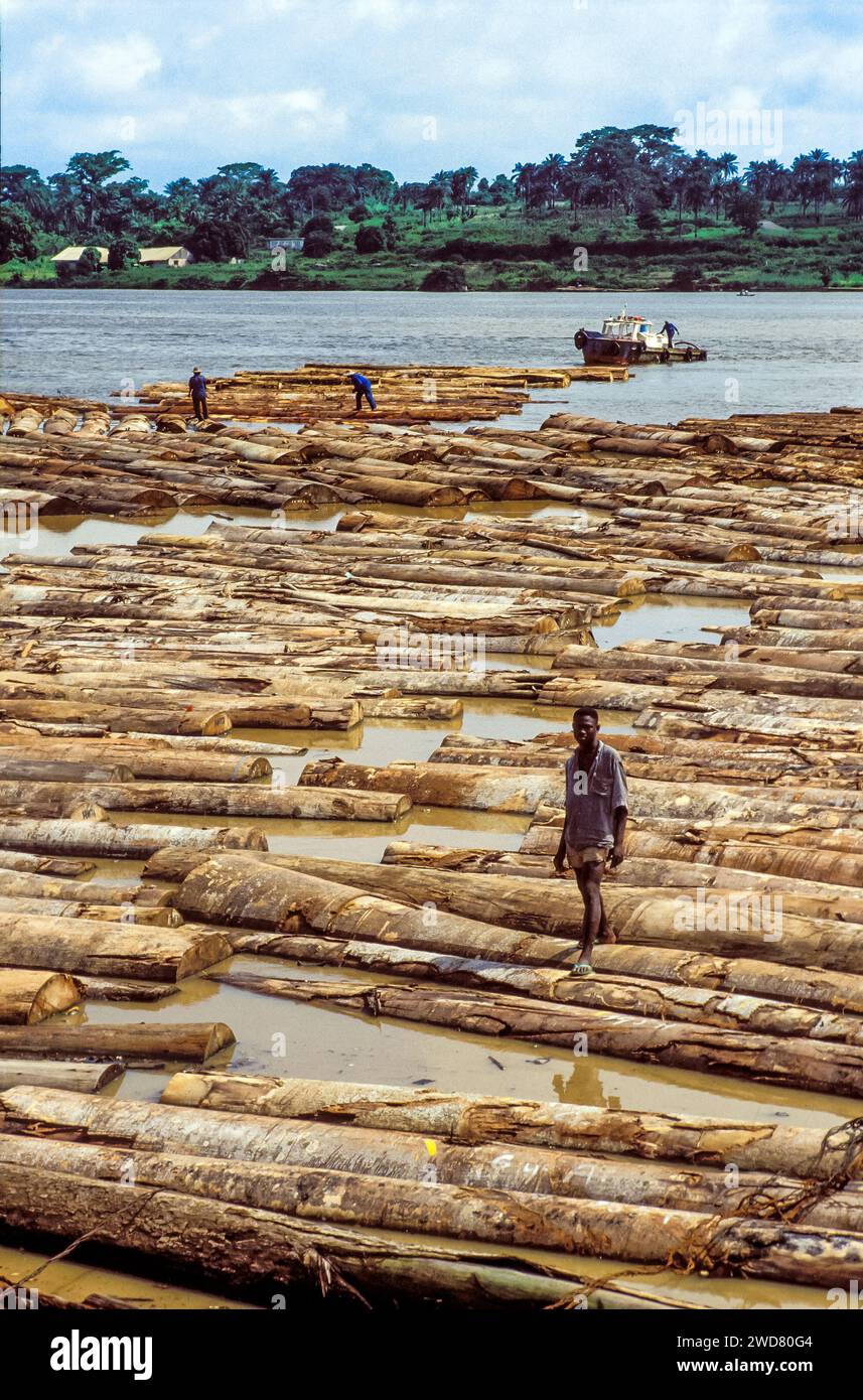 Elfenbeinküste, Abidjan; Holzstücke in der Bucht von Banco warten auf den Transport per Schiff. Ein Wächter geht auf den Baumstämmen. Stockfoto