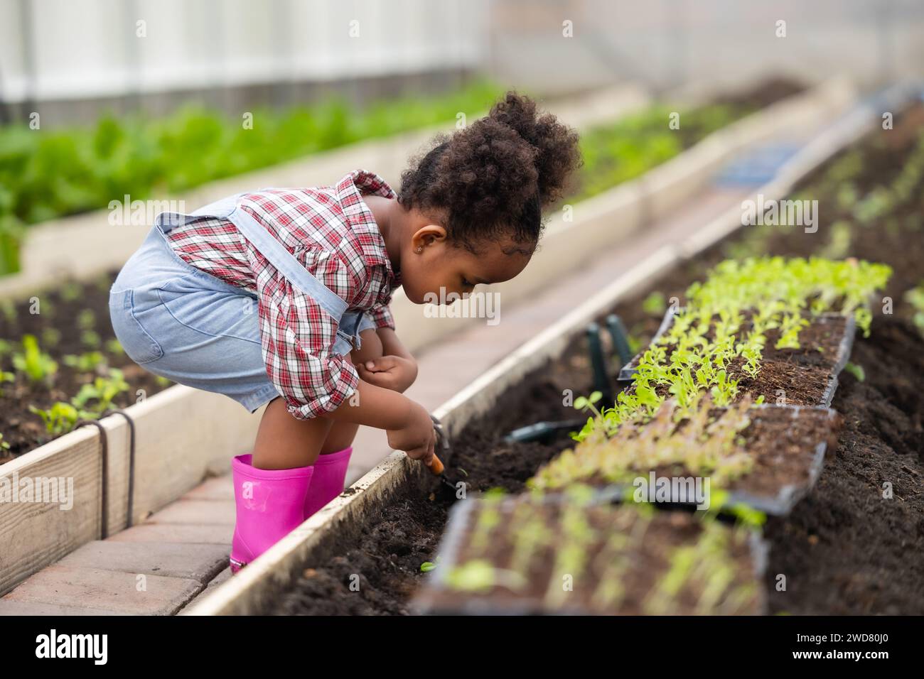 Afrikanisches schwarzes Kind beim Pflanzen des grünen Baumes in der Landwirtschaft. Kinder lieben das Naturkonzept. Stockfoto