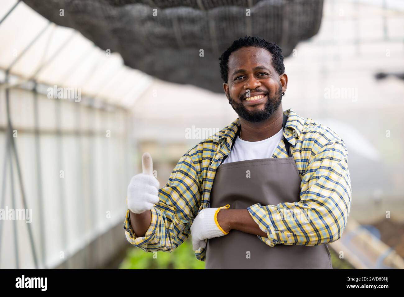 Glücklicher afrikanischer männlicher Farmer, der Porträt in Gewächshauslandwirtschaft steht, Kleinunternehmer Stockfoto