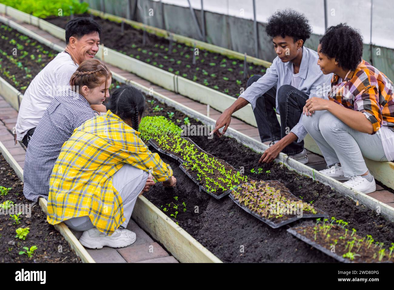 Gruppe junger Schuljugendlicher, die Pflanzen-Gemüsegarten-Bauernhof-Gärtnerei im Gewächshaus lernen Stockfoto