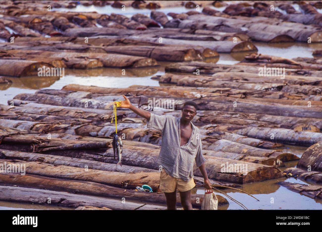 Elfenbeinküste, Abidjan; Fischer hat einen Fisch zwischen den Baumstämmen im Wasser der Banco Bay gefangen. Die Logs sind für den Export bereit. Stockfoto