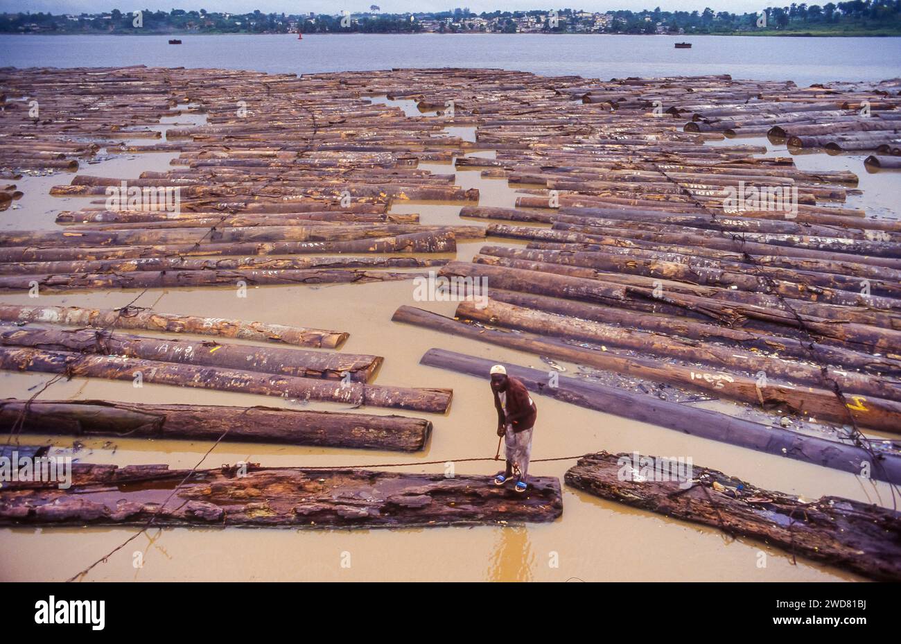 Elfenbeinküste, Abidjan; Holzstücke in der Bucht von Banco warten auf den Transport per Schiff. Ein Wächter geht auf den Baumstämmen. Stockfoto