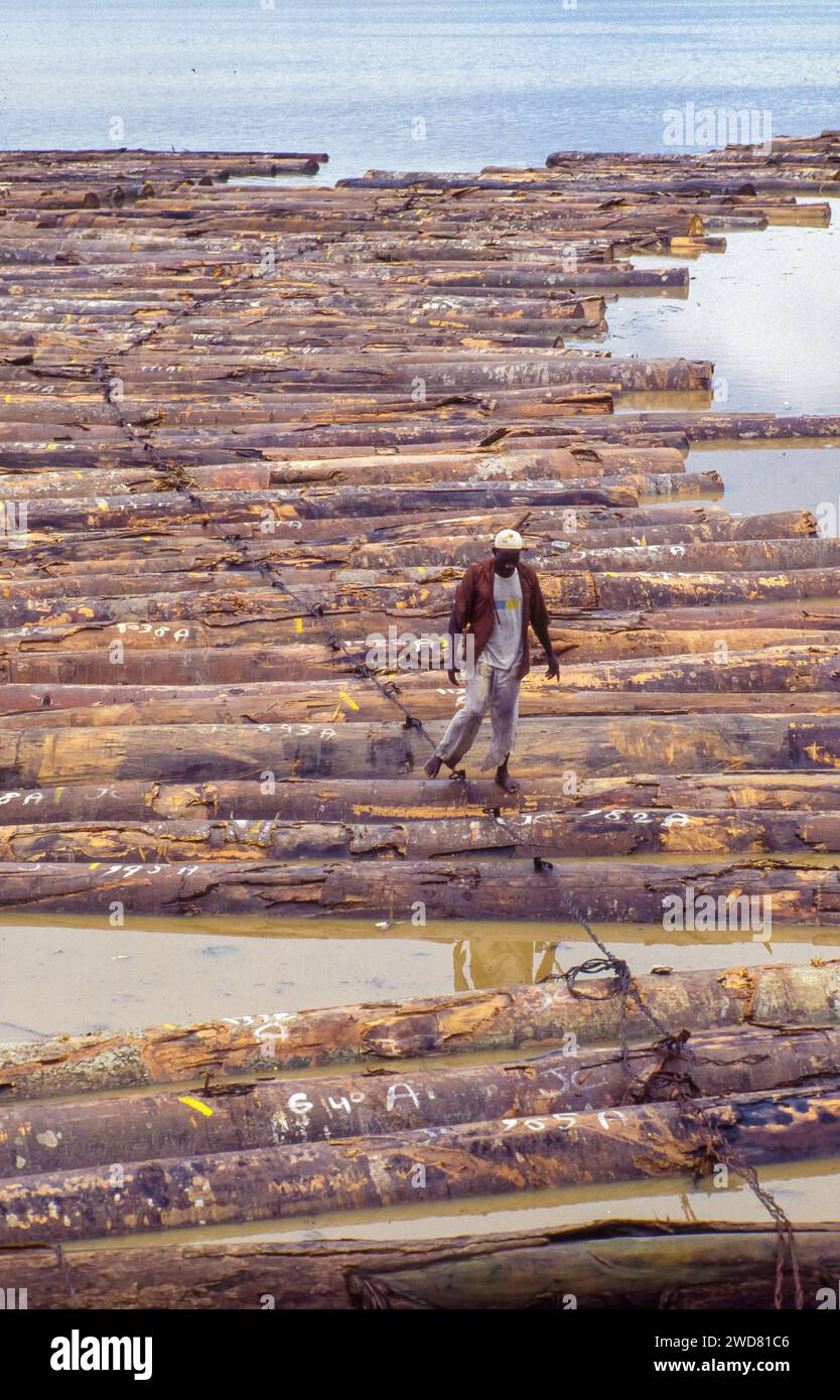 Elfenbeinküste, Abidjan; Holzstücke in der Bucht von Banco warten auf den Transport per Schiff. Ein Wächter geht auf den Baumstämmen. Stockfoto