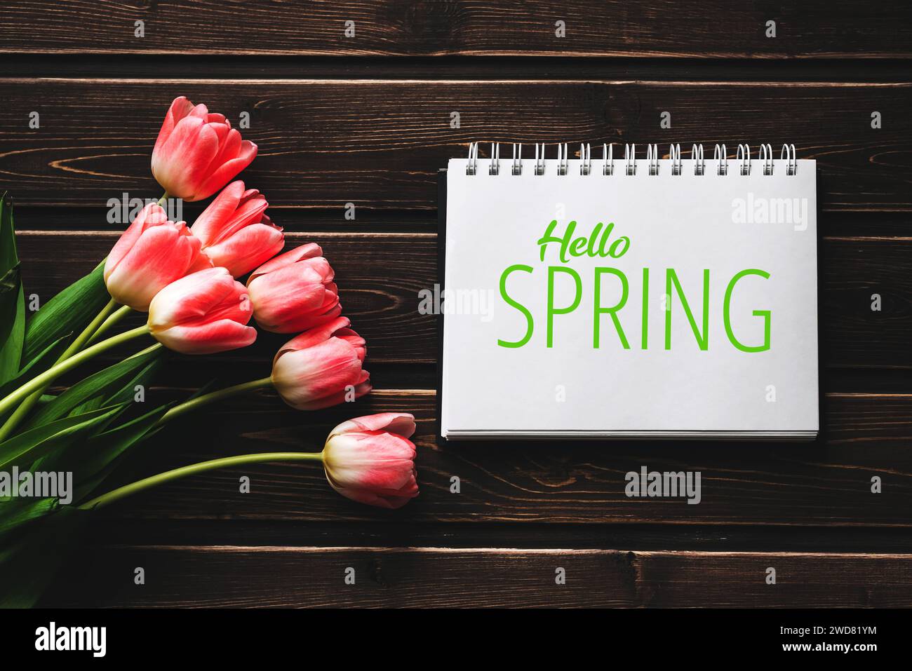 Grußkarte mit der Aufschrift Hello Spring. Pinkfarbene Tulpen auf hölzernem Hintergrund Stockfoto