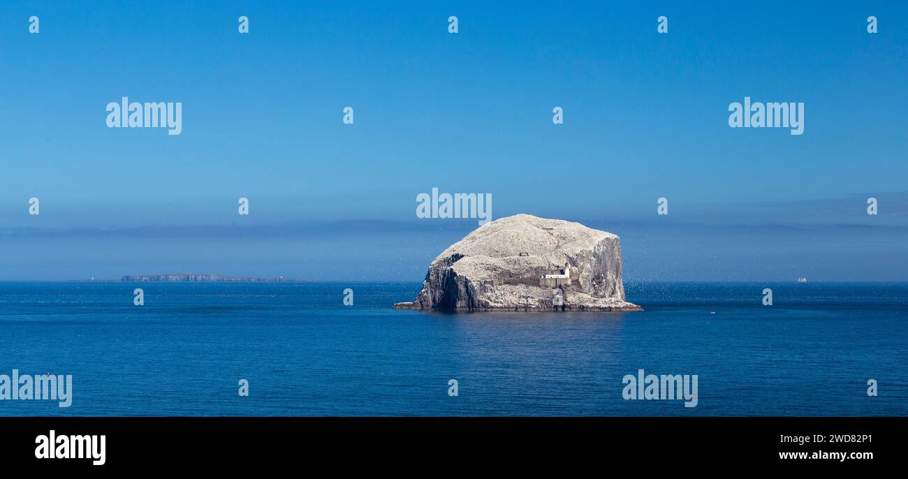 Bass Rock, North Berwick, East Lothian, Schottland. Stockfoto