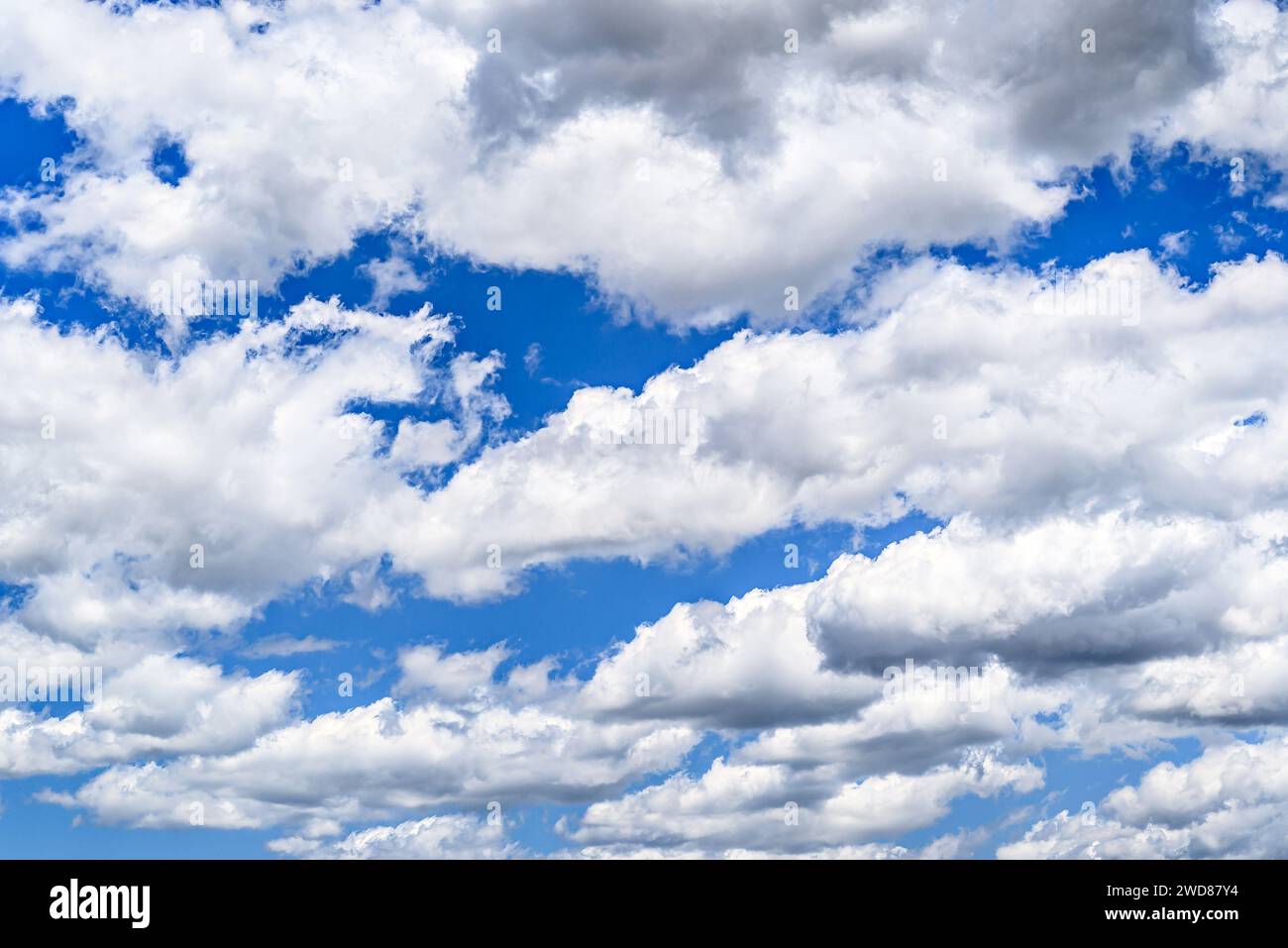 Weiße Wolken in einem leuchtend blauen Himmel. Die Schönheit der Natur Stockfoto