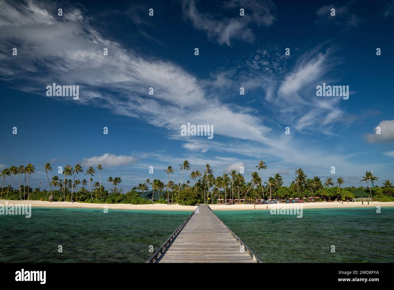 Palmen wehen auf der Windpromenade, die zu ihnen führt, Indischer Ozean, Malediven Stockfoto