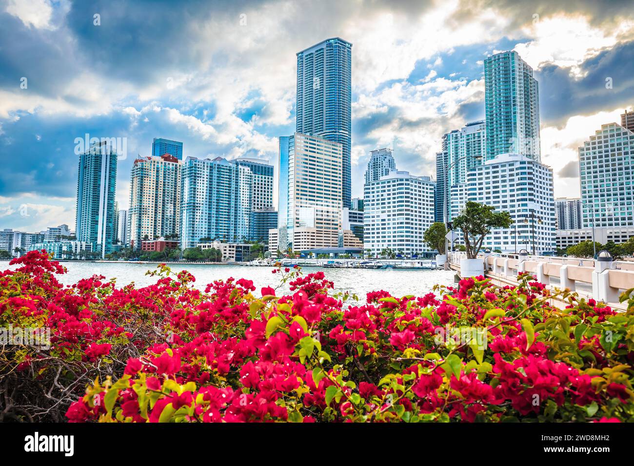 Blick auf die Skyline von Miami mit Blick auf den Sonnenuntergang von Brickell Key, US-Bundesstaat Florida Stockfoto