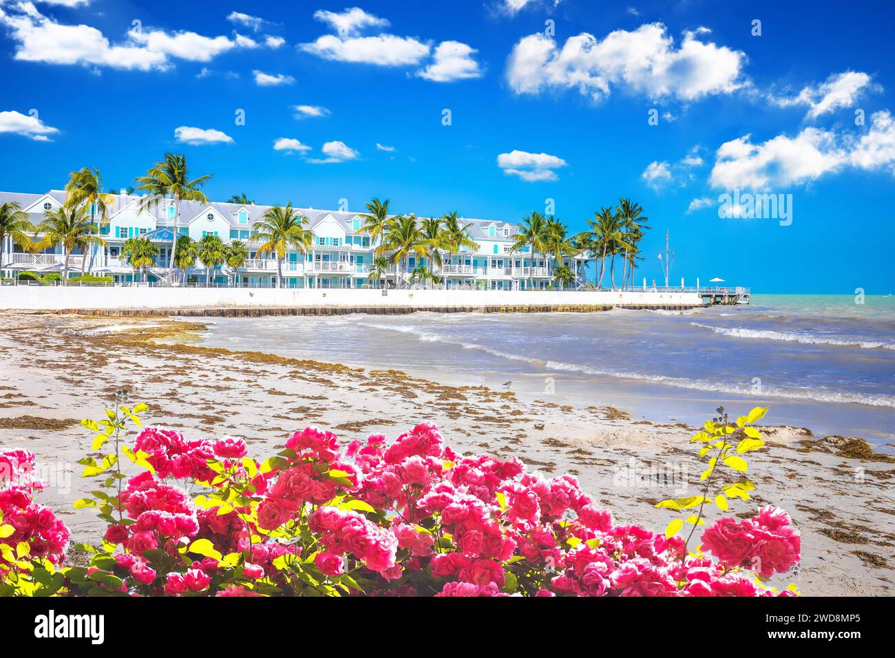 Duval Street Pocket Park Beach und Waterfront in Key West View, South Florida Keys, Vereinigte Staaten von Amerika Stockfoto