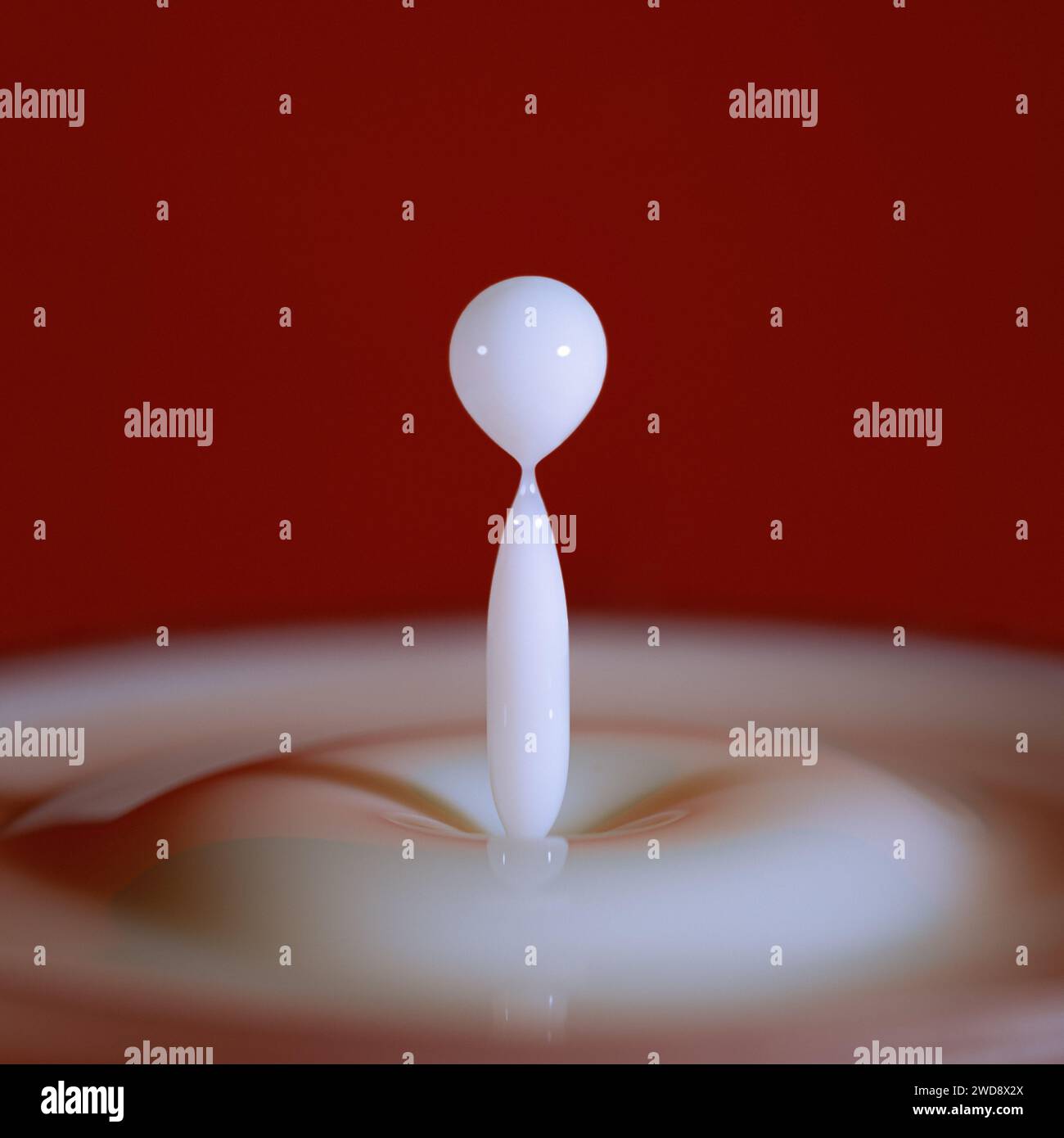 Eine Nahaufnahme eines Tropfens Milch vor rotem Hintergrund Stockfoto