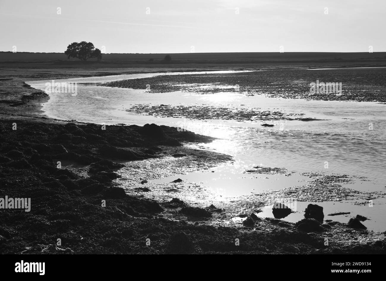 Schlammflächen auf Holy Island oder Lindisfarne Island (Nordengland) im Hintergrund Stockfoto