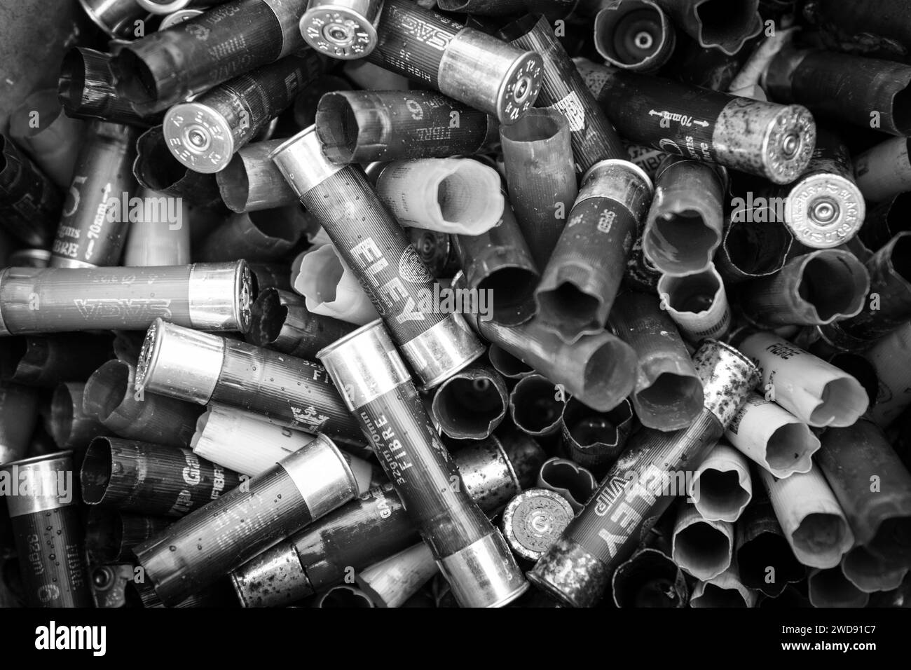 Verschiedene Bilder von arbeitenden Guindogs an einem Drehtag Stockfoto