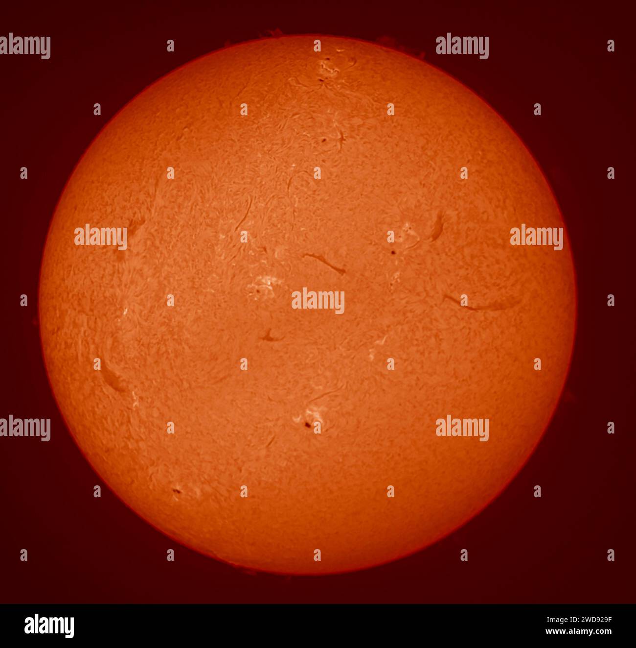 London, Großbritannien. Januar 2024. Detail der Oberflächenaktivität auf der Sonne mit Sonnenfleckengruppen, Filamenten und Prominenzen am Rand. Quelle: Malcolm Park/Alamy Live News Stockfoto