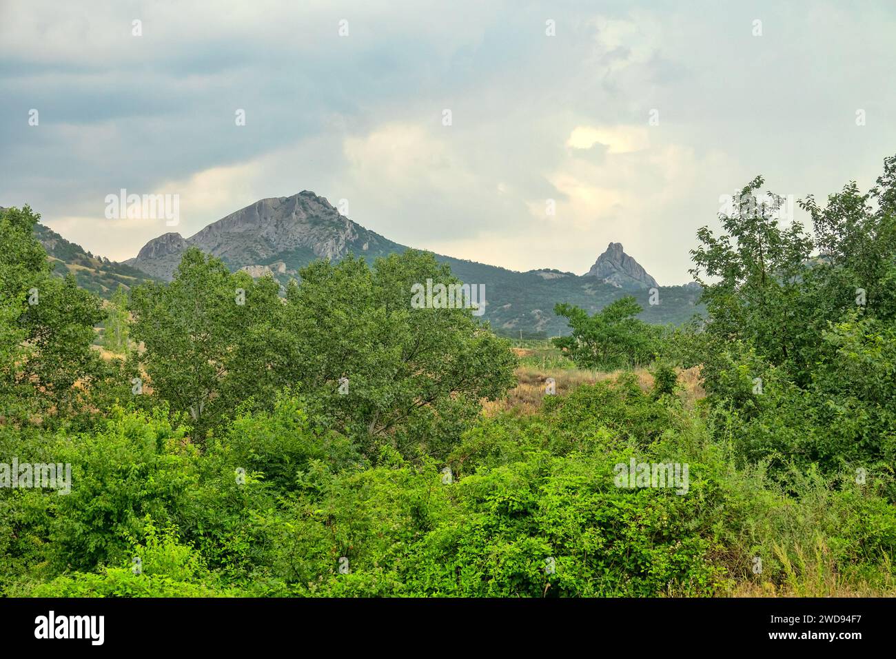 Krim-Berge. Fuß des Hauptkamms. Glen, Stream. Subtropen. Laubbäume (Pappeln bilden Harnstoff), Büsche, Wiese. Orogene Bewegungen gehören zum Typ Stockfoto