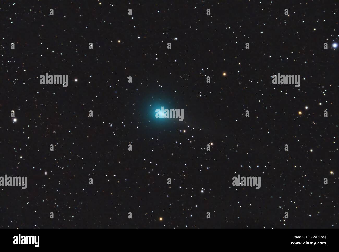 62 P Tsuchinshan, ein periodischer Komet, der im Januar 2024 Perihelon vorbeizieht, Sternkarte Nachthimmel-Hintergründe Stockfoto