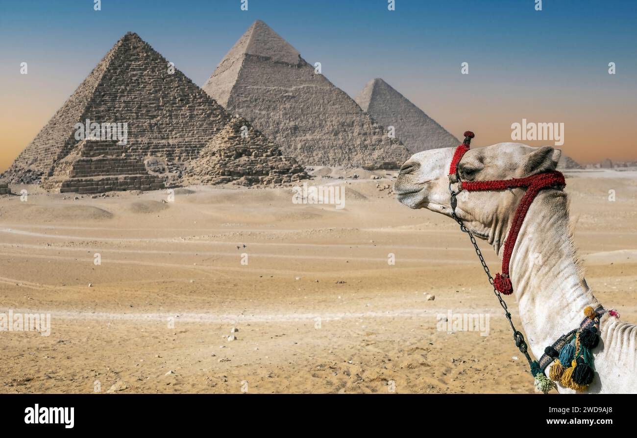 Panoramablick mit den großen Pyramiden der Nekropole von Gizeh: Cheops-Pyramide, Khafre, Menkaure und Königspyramiden. Al Haram, Gizeh Stockfoto