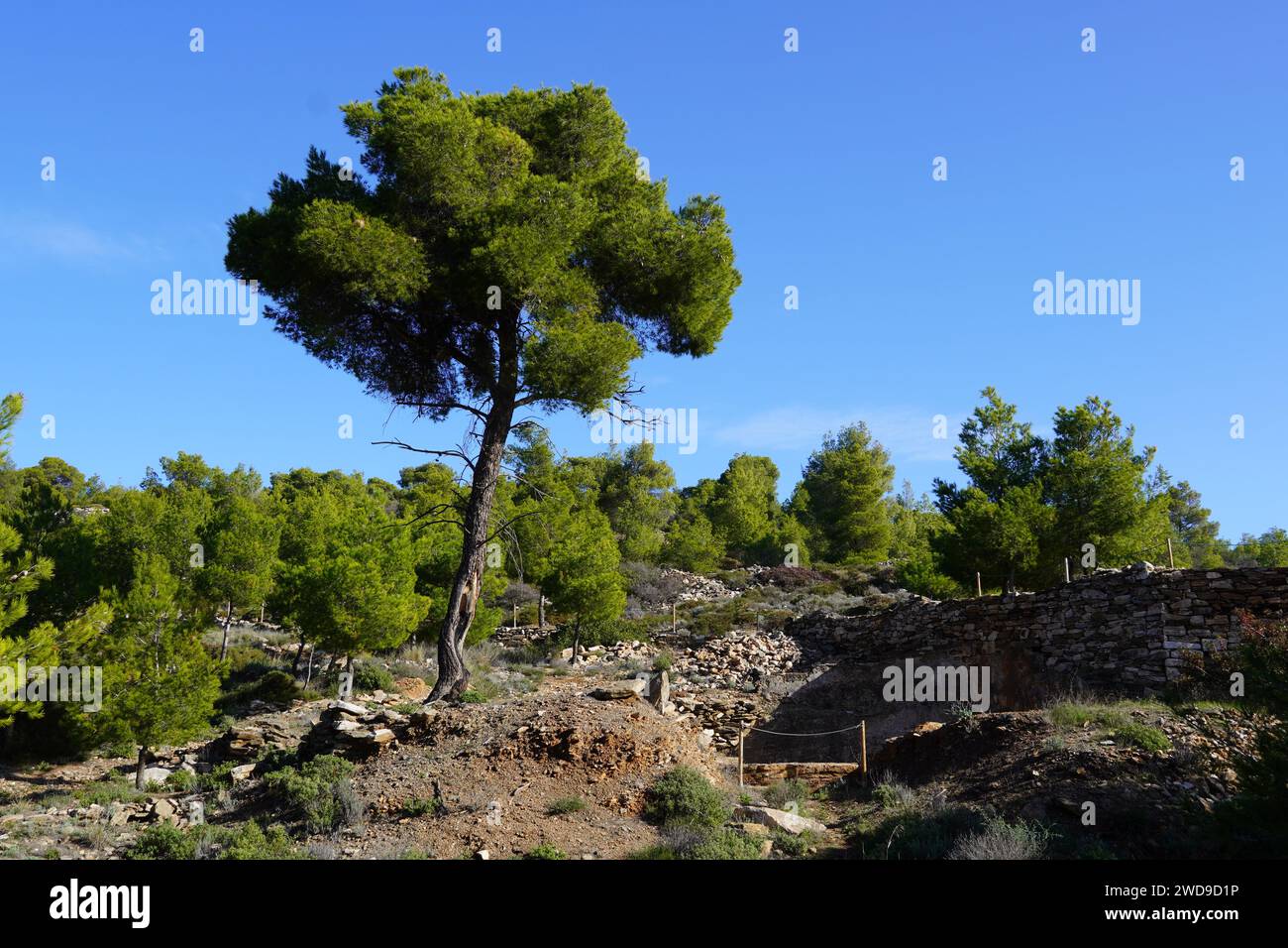 Blick auf die alte Silberminen-Werkstatt-Ruinen in Lavrio Stockfoto