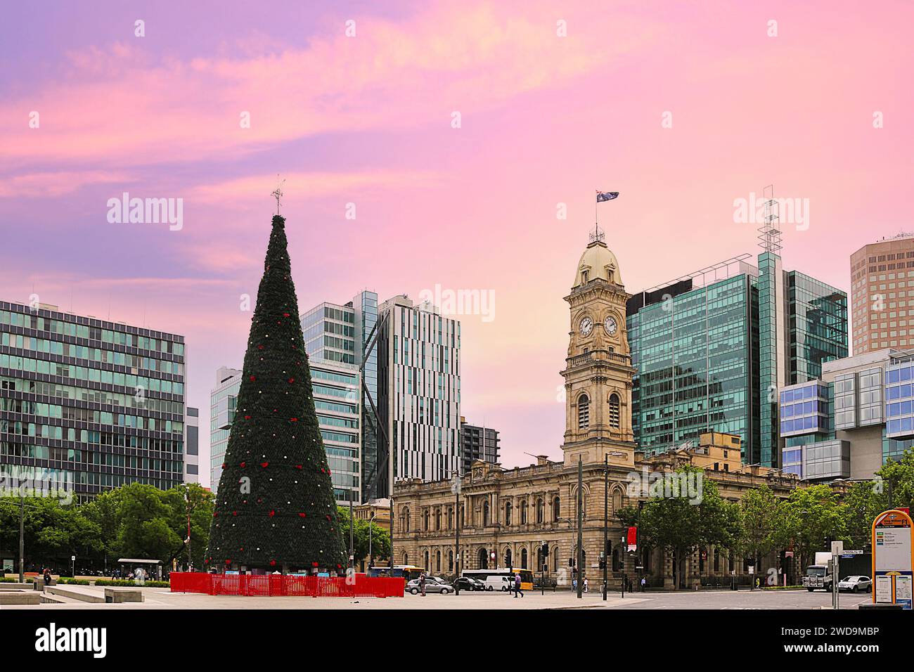 Victoria Square in Adelaide mit Weihnachtsbaum, South Australia Stockfoto