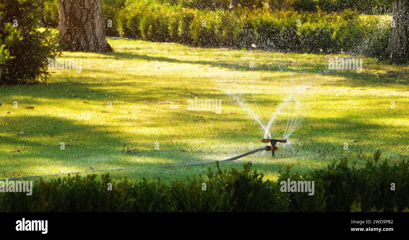 Ein automatisches Bewässerungssystem besprüht den Rasen im Park. Gartenkonzept. Stockfoto
