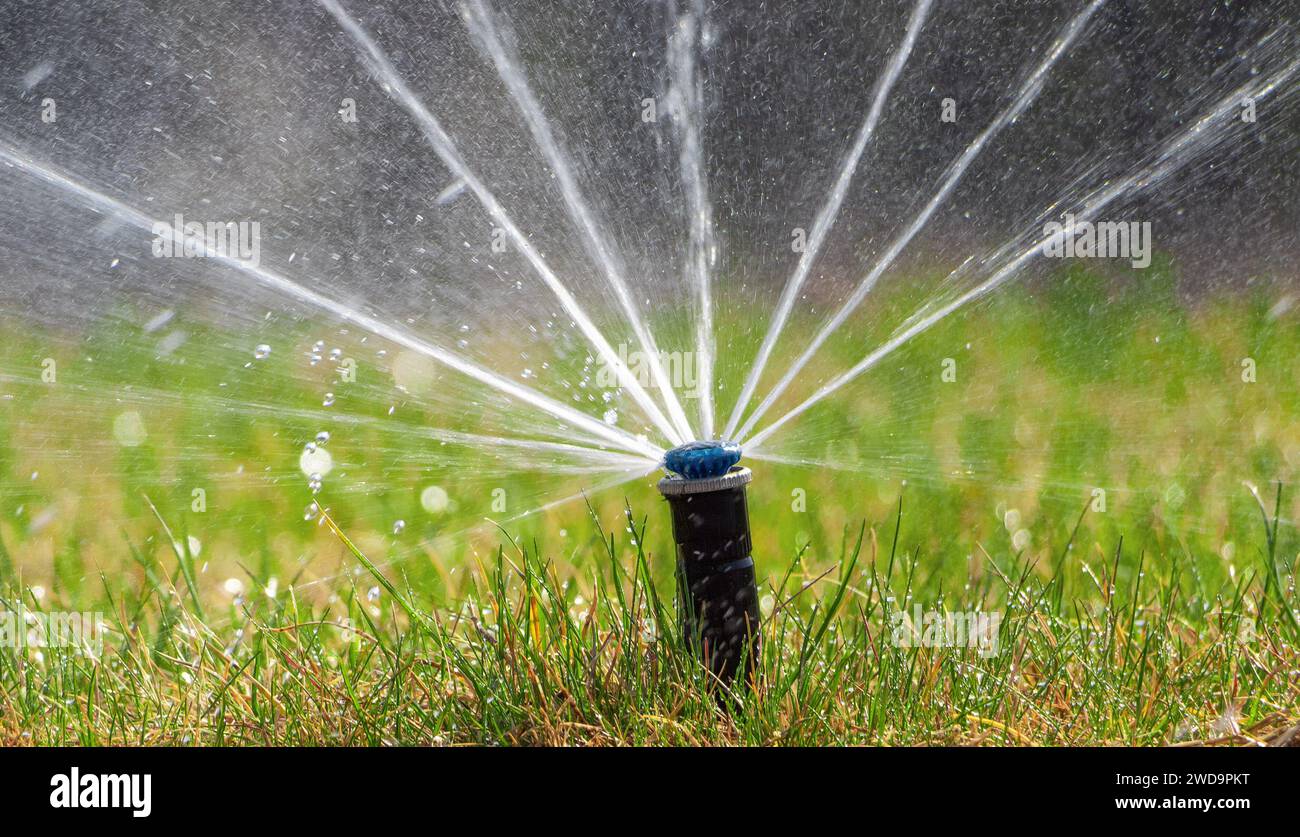 Automatische Sprinkleranlage zur Bewässerung des Rasens auf grünem Gras Nahaufnahme. Gartenarbeit und juristische Betreuung. Stockfoto